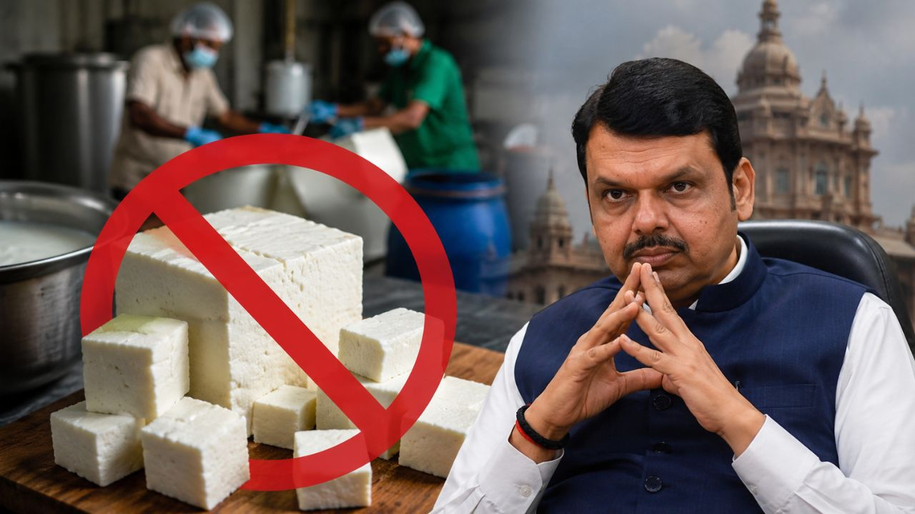 ai generated image of analog paneer