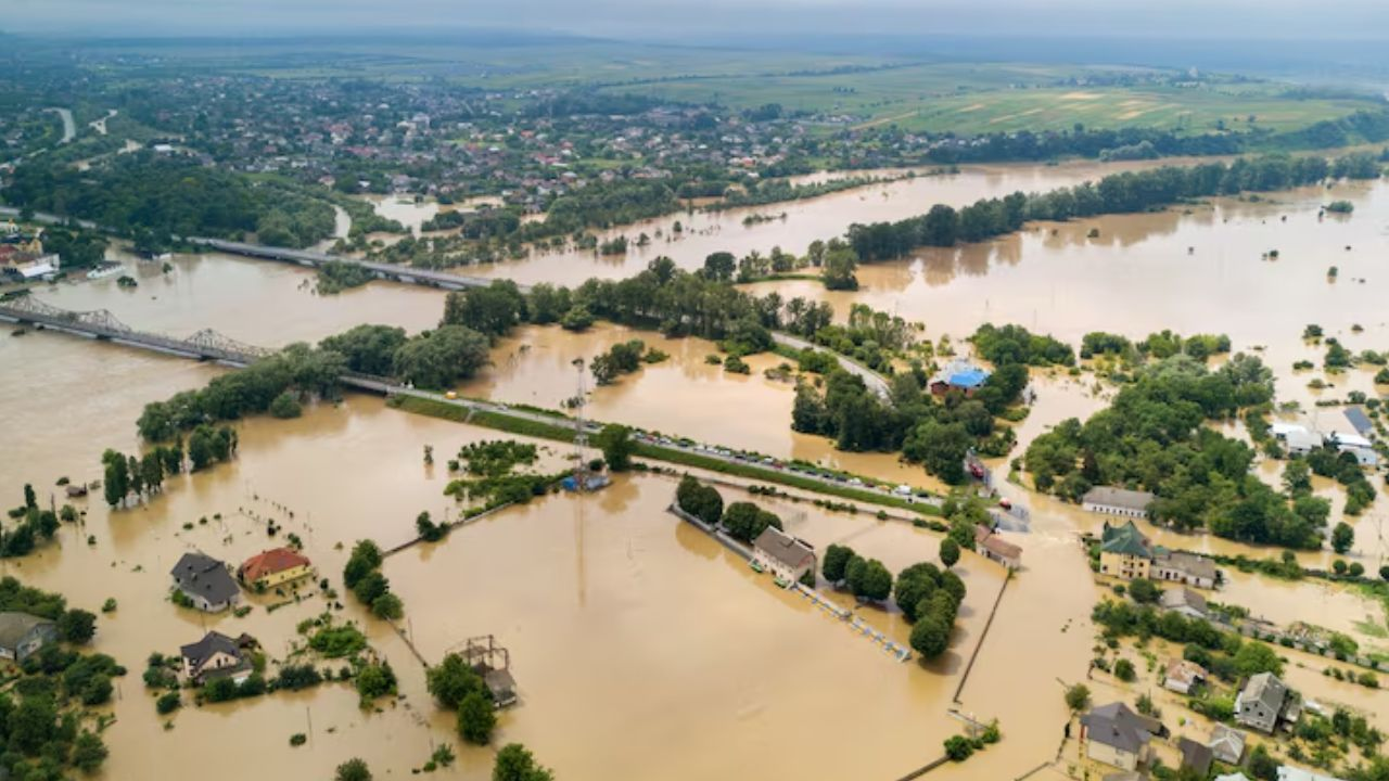 प्रतीकात्मक तस्वीर Photo Credit: Freepik