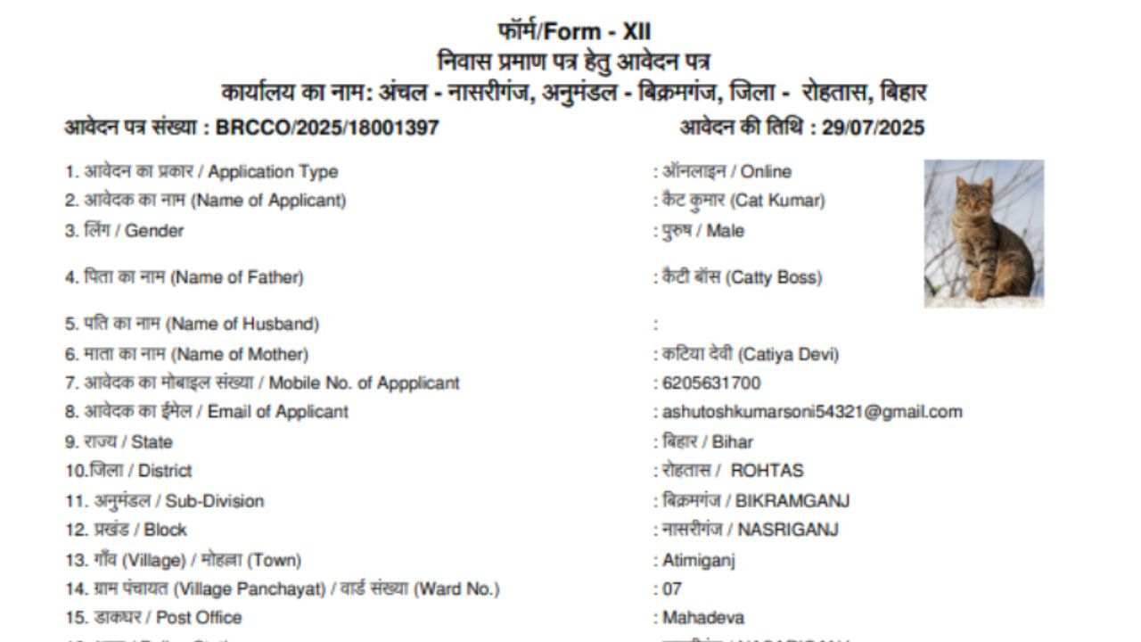 Pic of Application in bihar। Photo Credit: X/@say_shashank07
