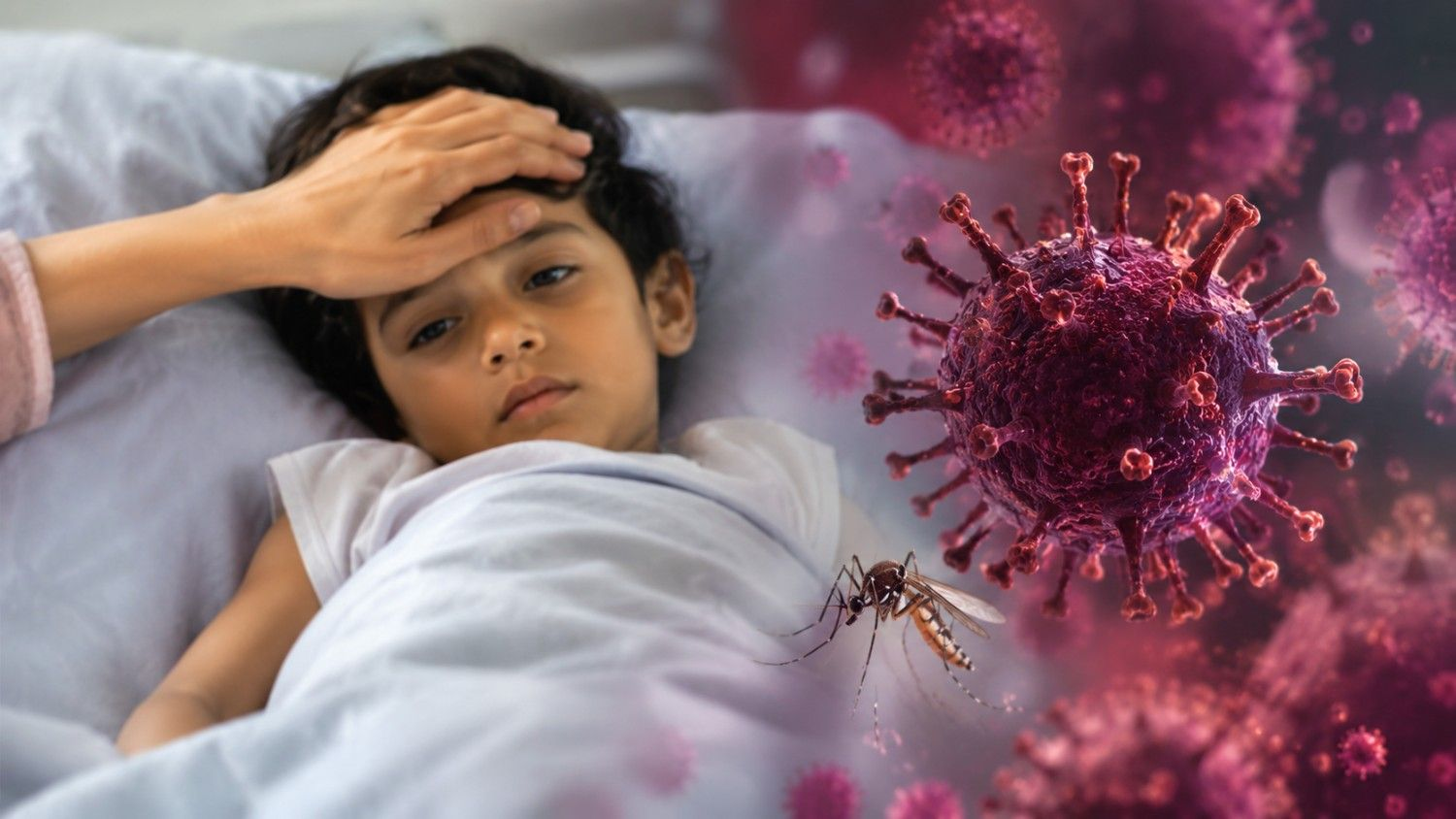 Chandipura Virus