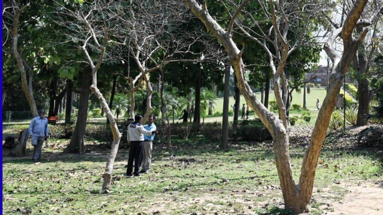 Delhi Park PTI