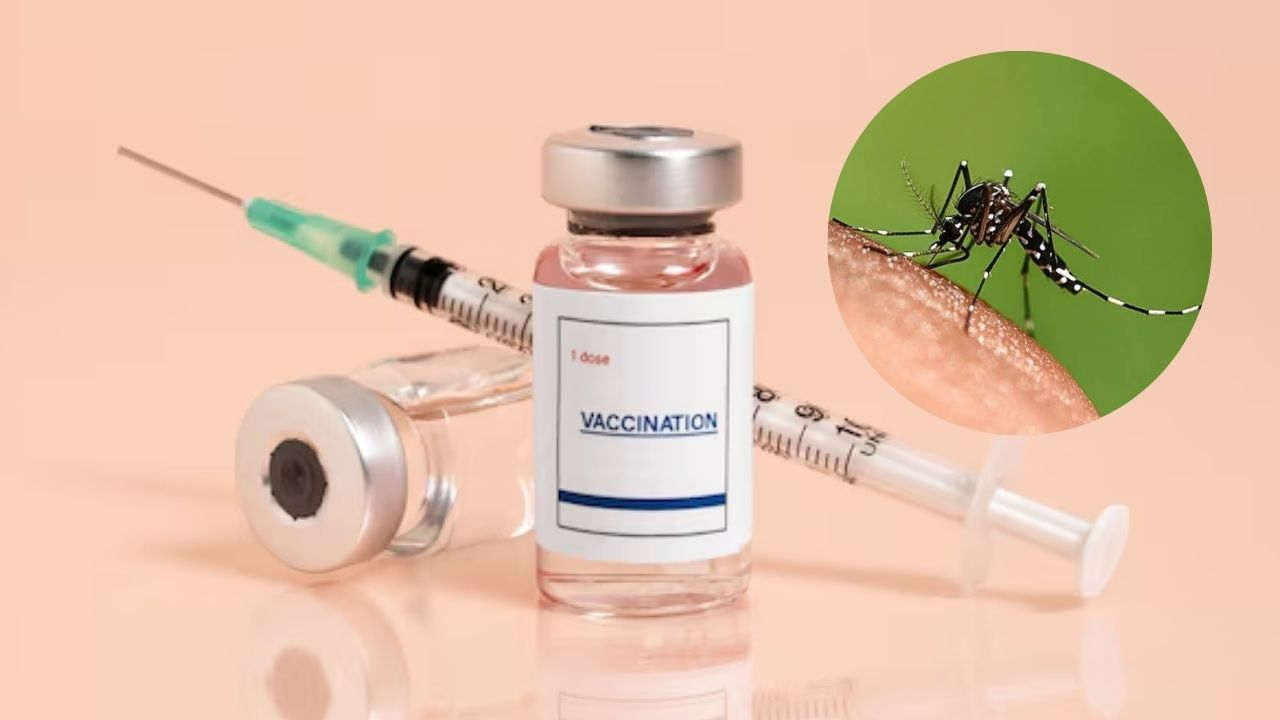 dengue vaccine