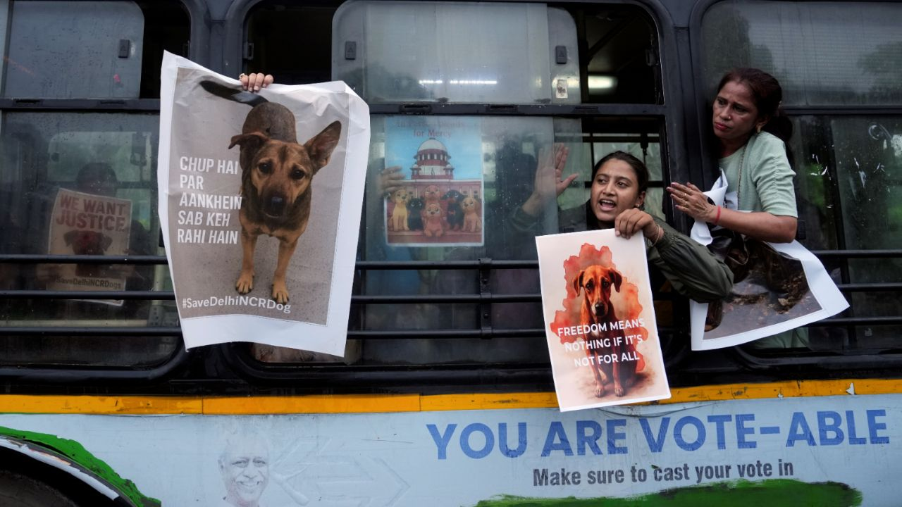 Delhi Animal Protest 