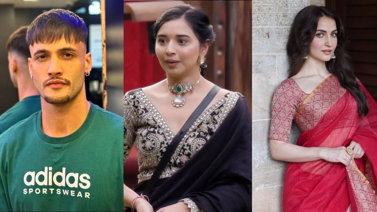 asim riaz, tanya mittal and elli avram