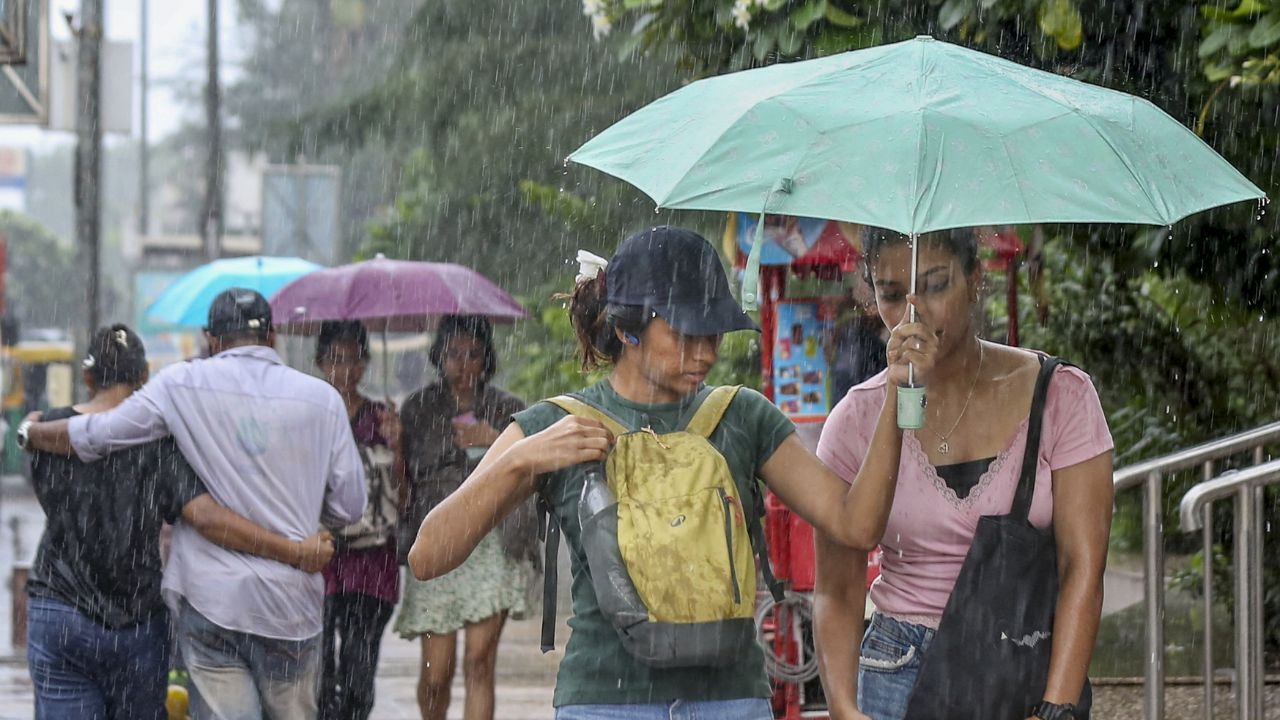 Heavy Rain Alert