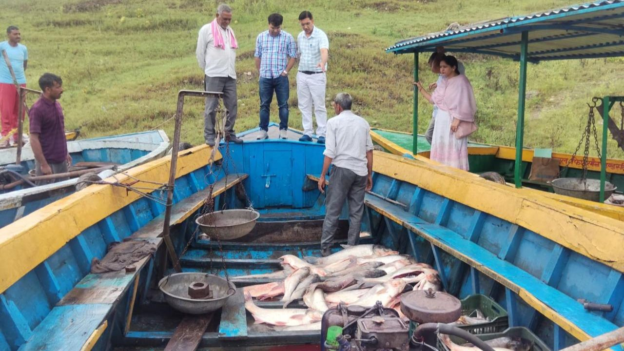 Himachal Pradesh fish