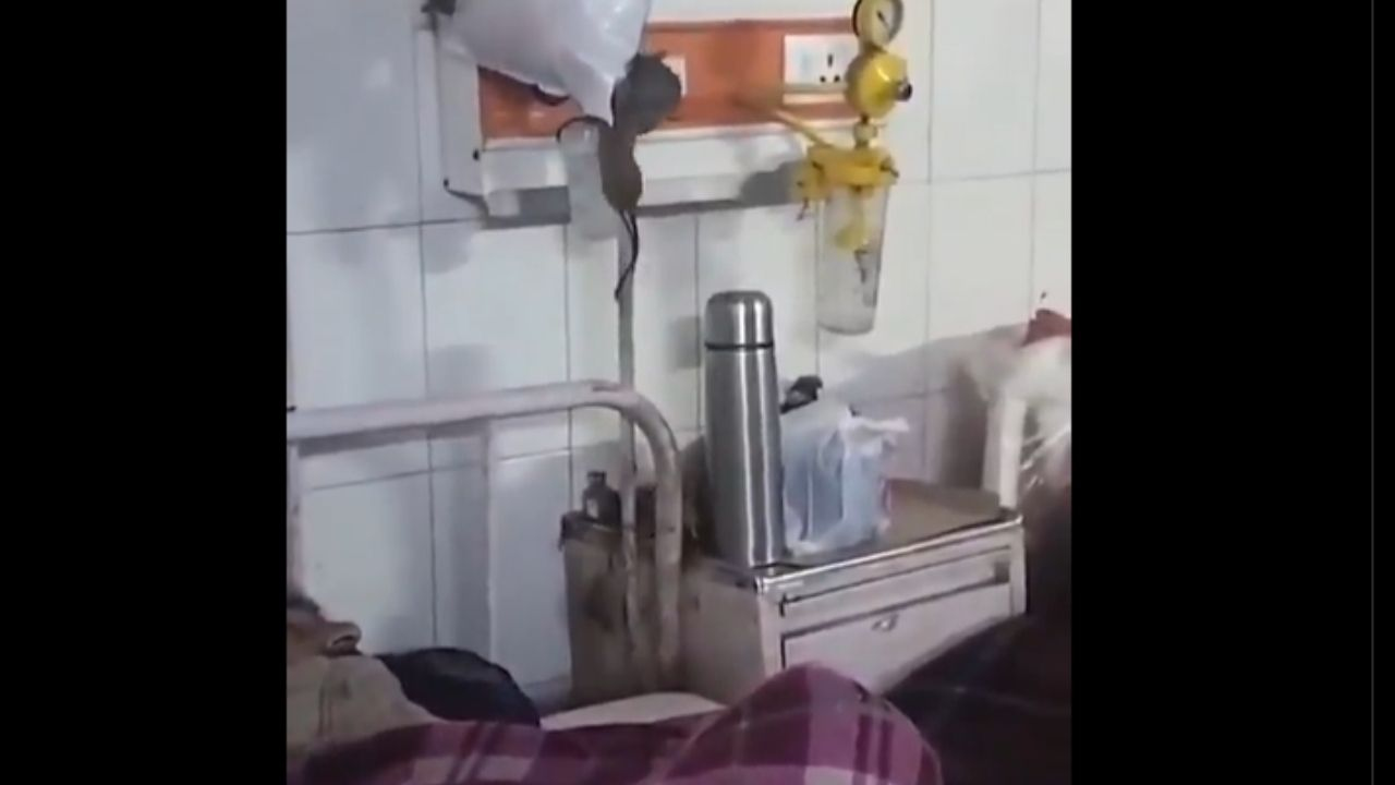 Gonda medical collage