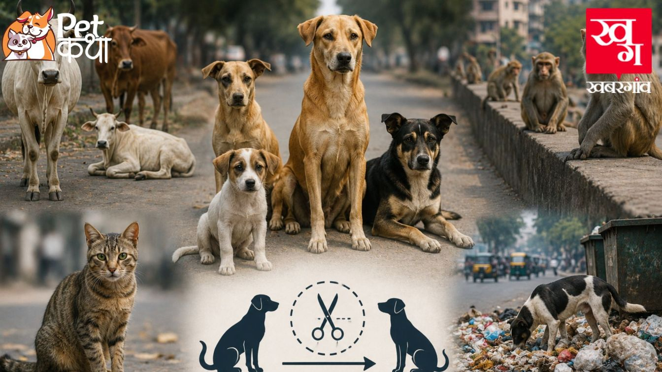 Stray Animals AI Generated Image