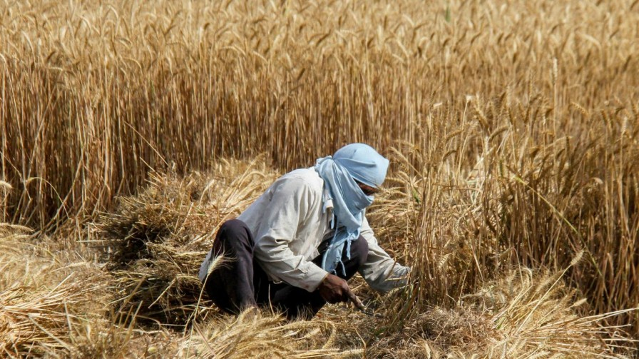 grain warehouses and threshing floors build in Bihar