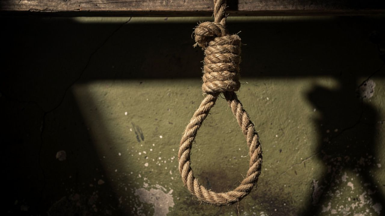 representative image of Hanging noose