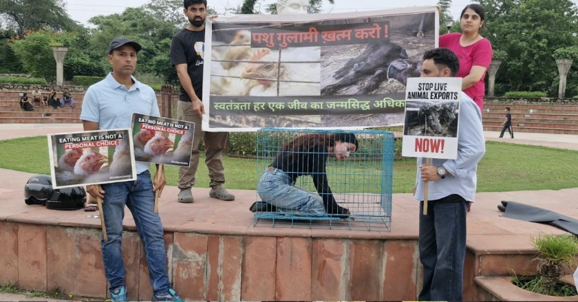 Protest in chandigarh