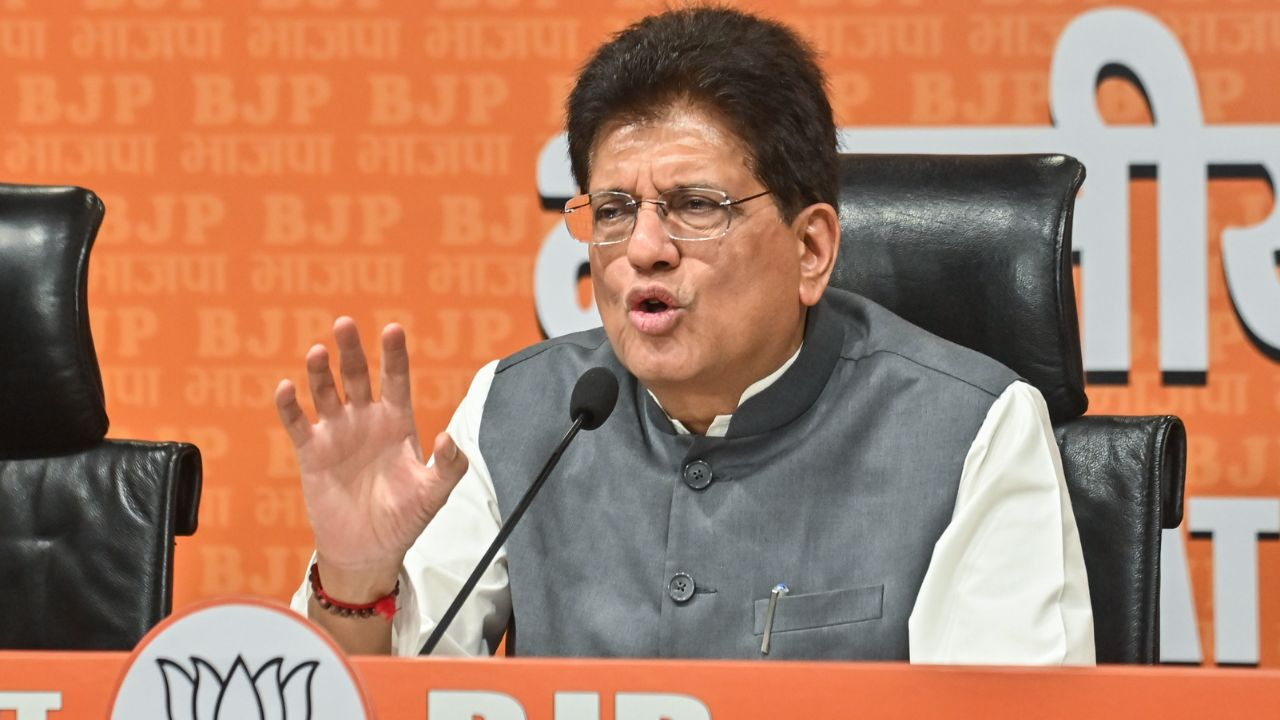Piyush Goyal appointed BJP treasurer will removed from Modi cabinet