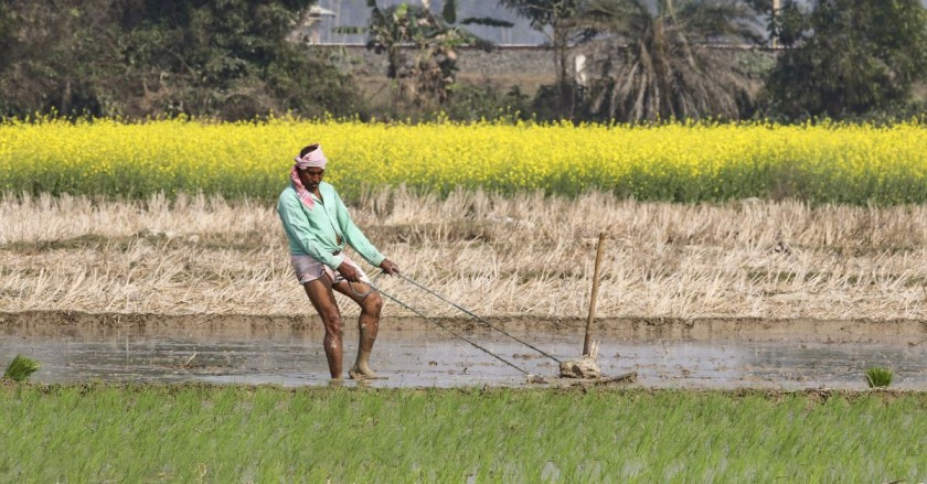 Farmer