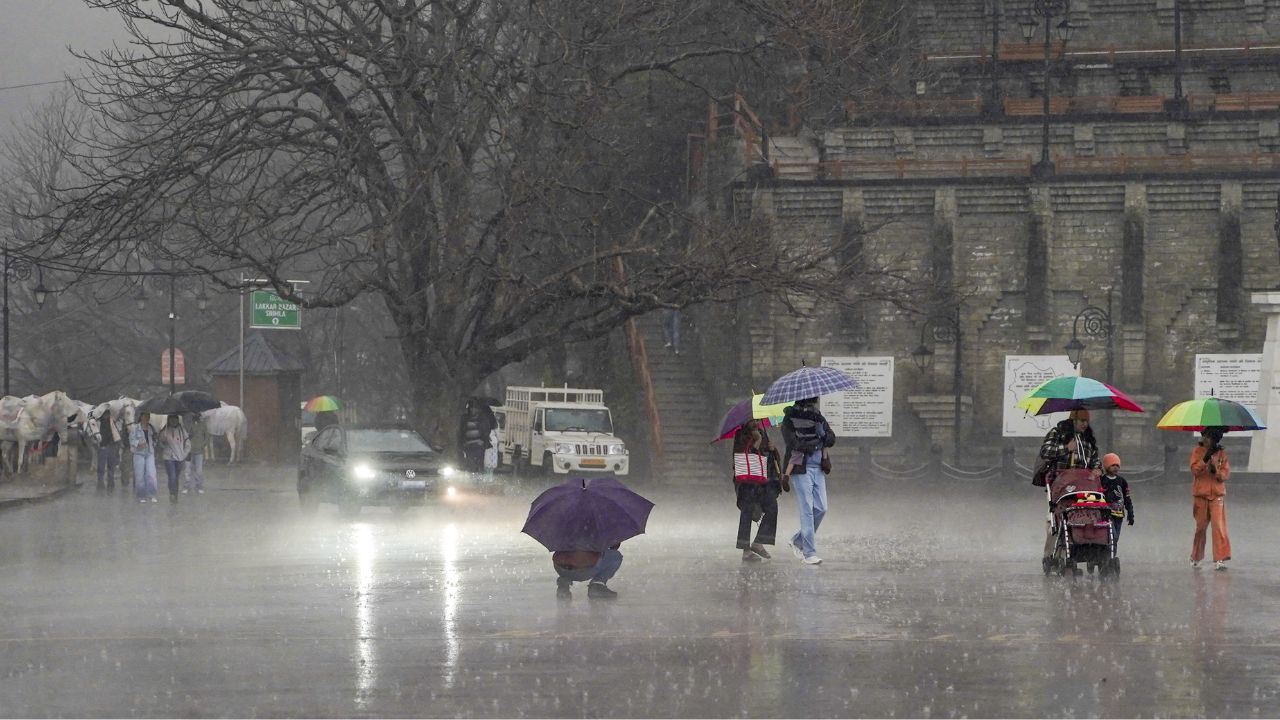 Shimla