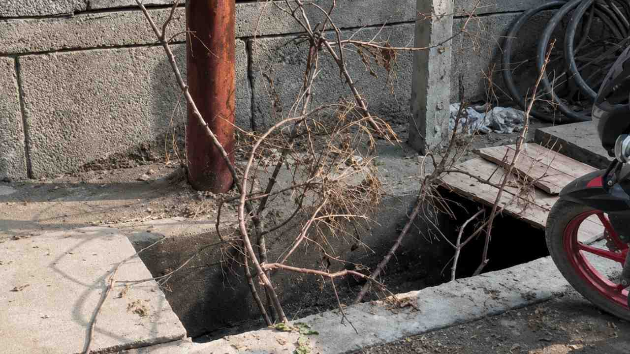 Noida News