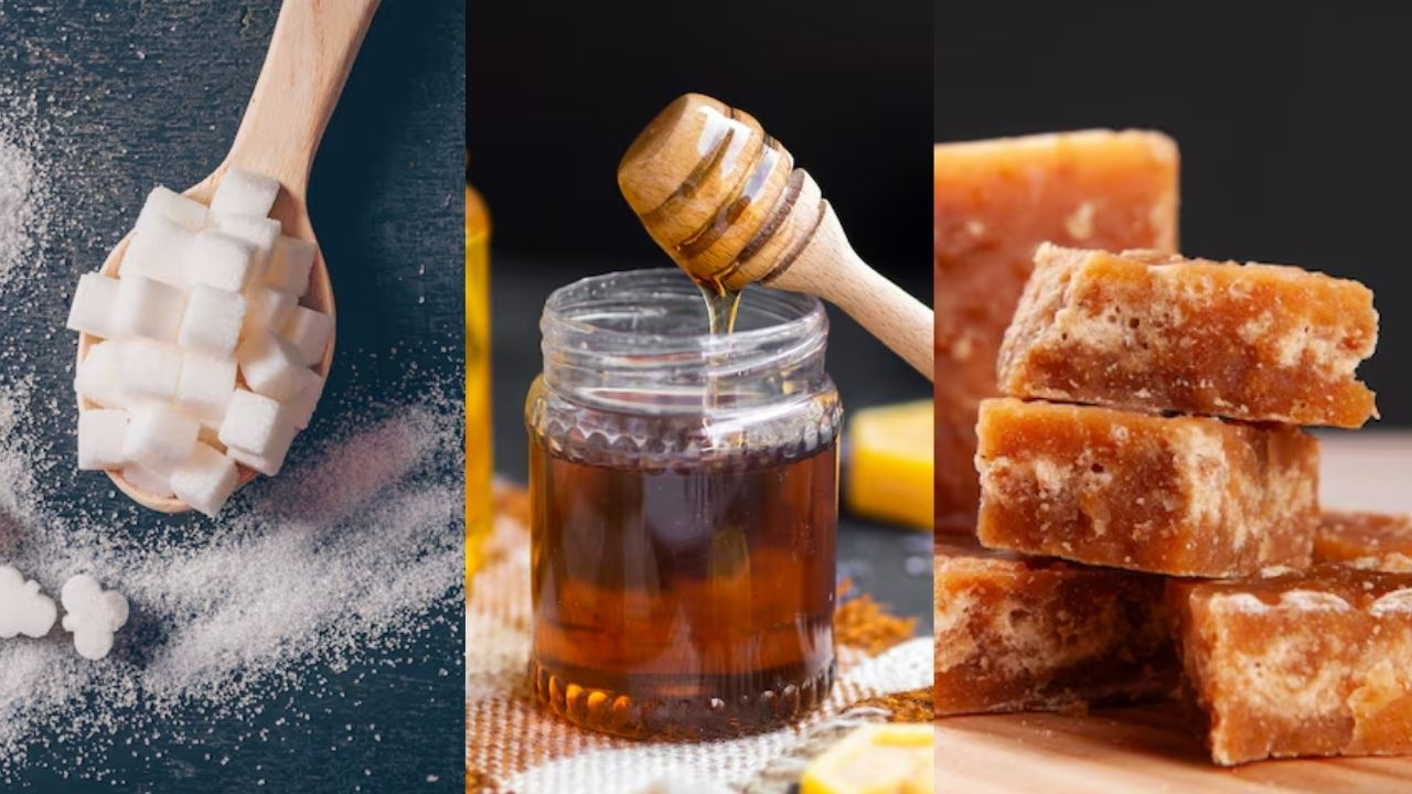 sugar honey and jaggery