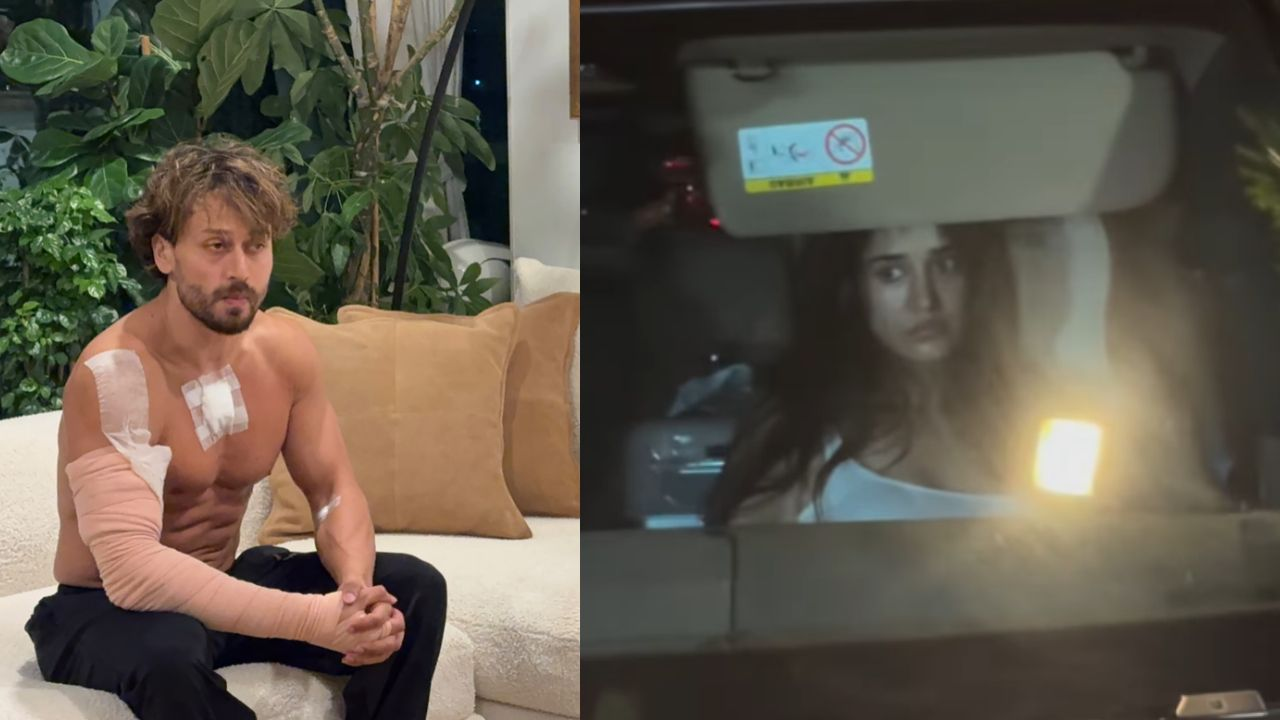 Tiger and Disha