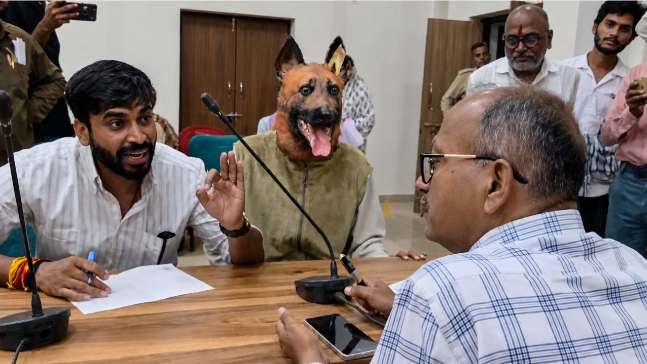 Collector office wearing dog mask 