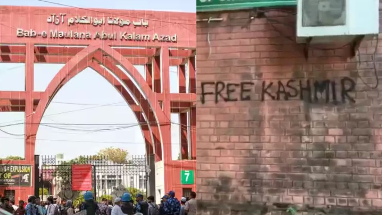  Jamia millia islamia university