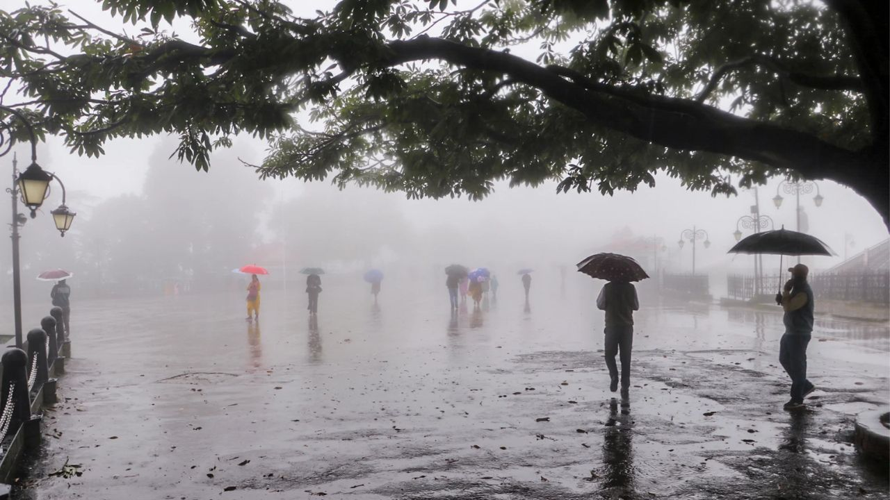 IMD Weather Alert, Heavy Rain, Rainfall Alert,