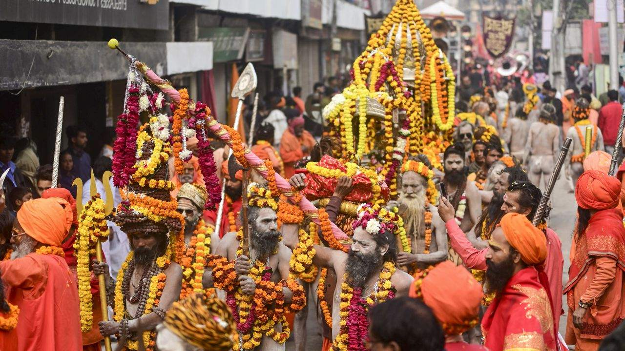 Image of Sadhu Sant