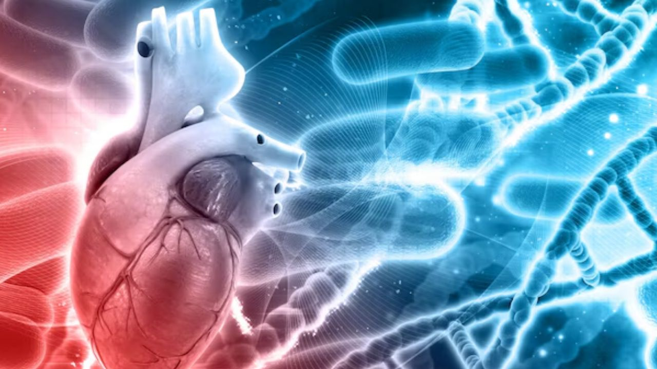 artificial heart,
