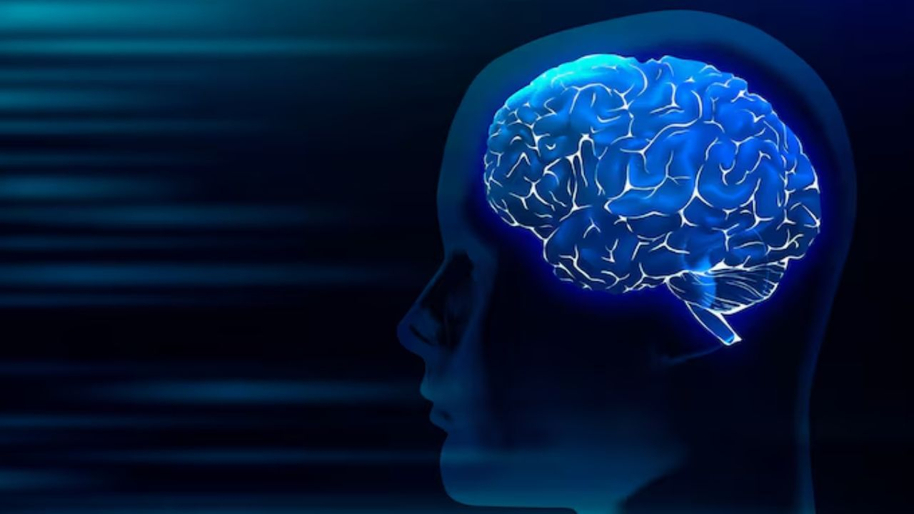 habits effect brain