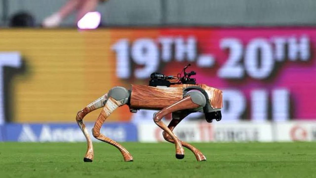 robotic dog champak