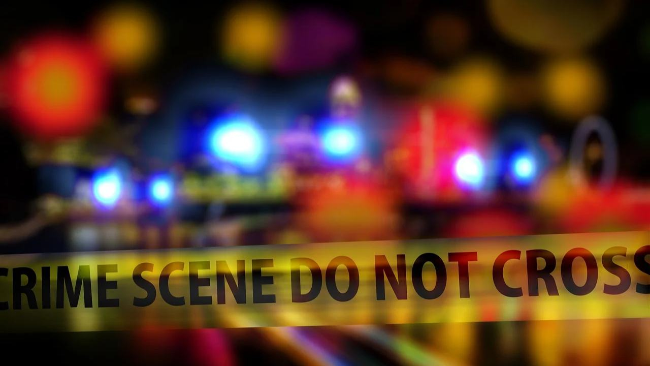 Telangana mother kills 3 kids