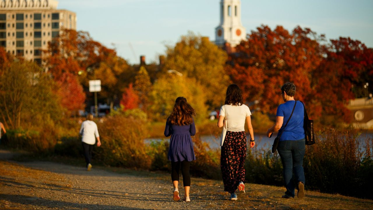 Harvard University