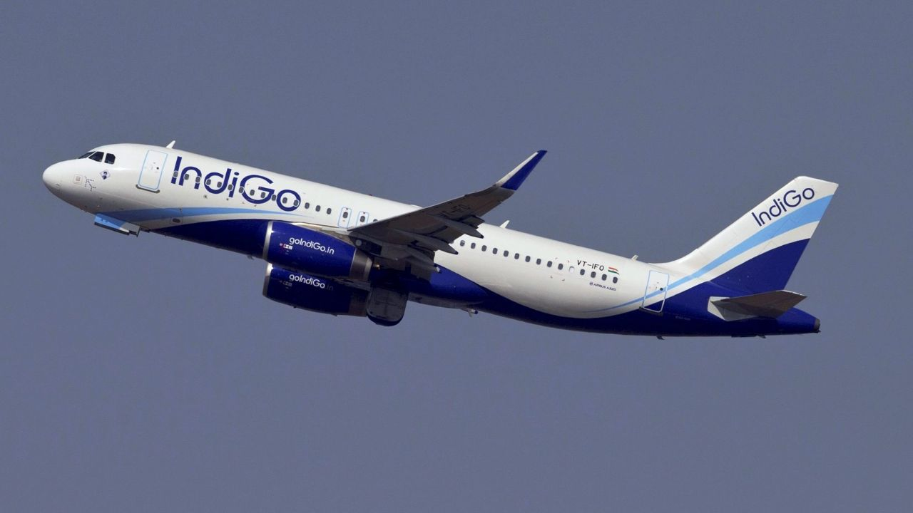 Indigo flight attendant stole necklace!