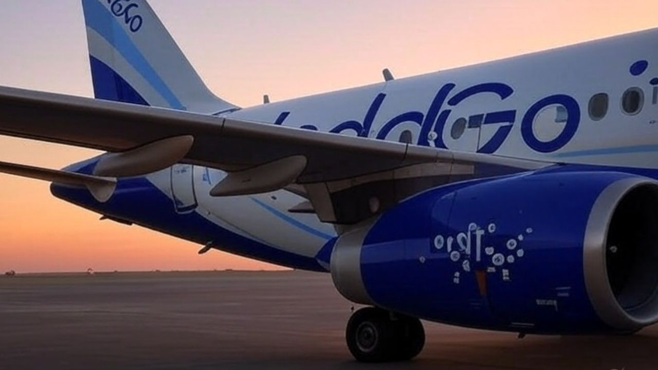 Indigo Flight