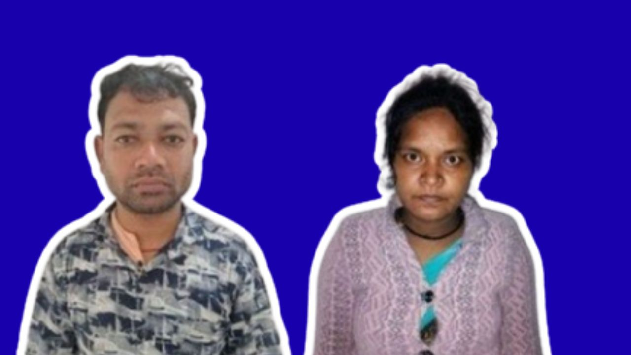 MP News