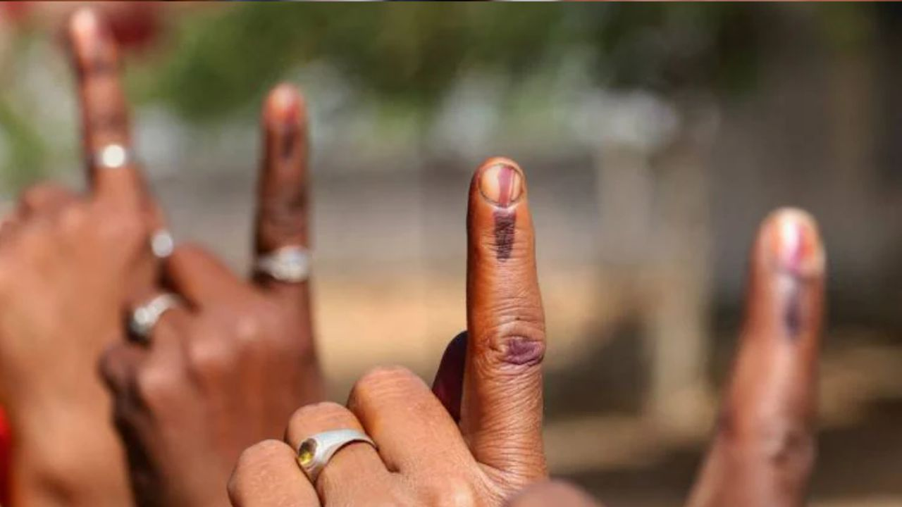 representational image : pti