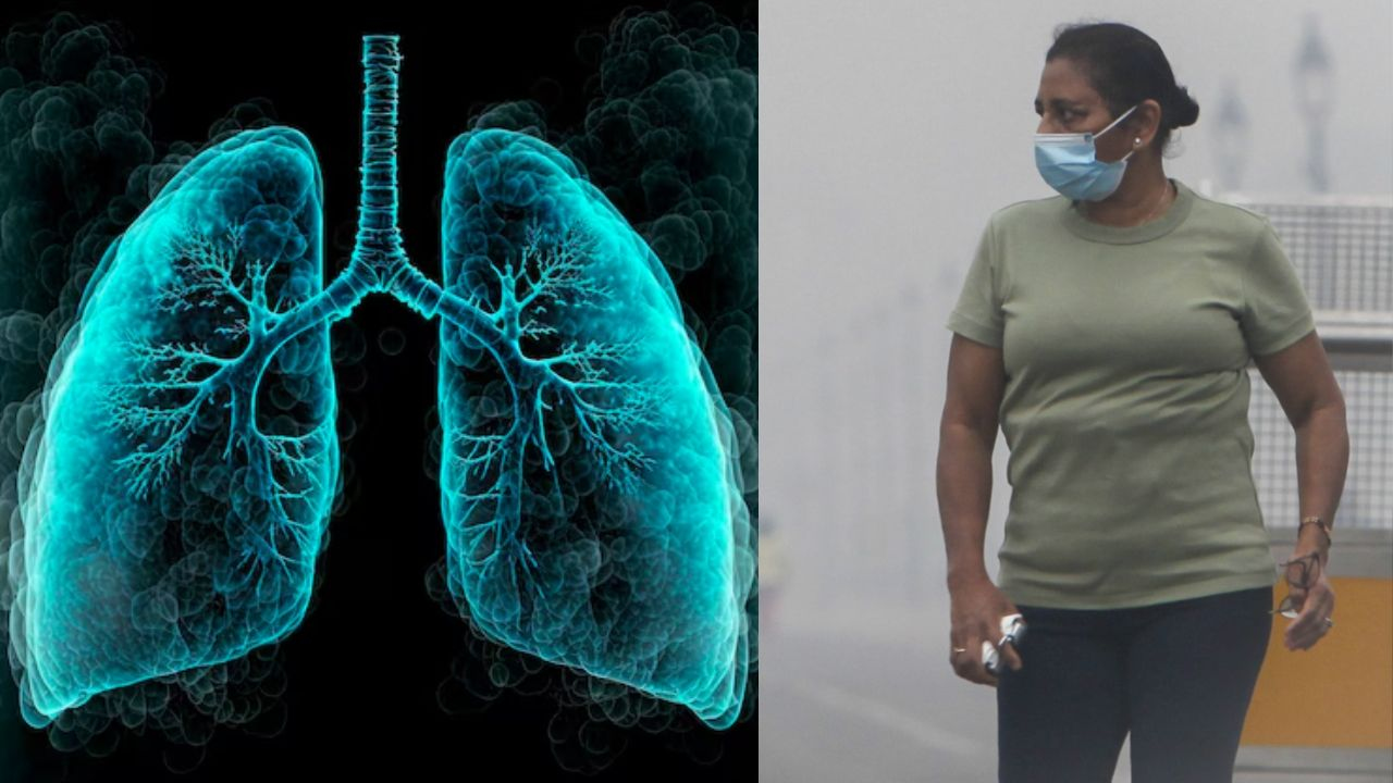 pollution affects lungs