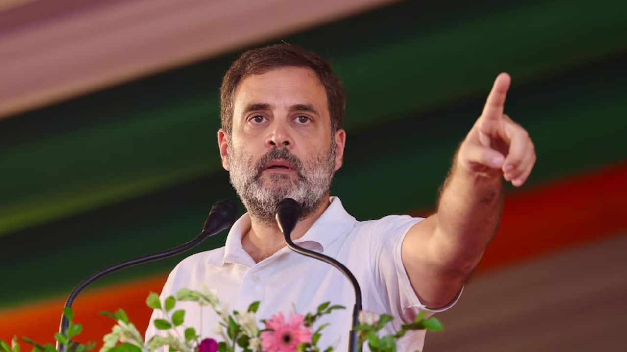 rahul gandhi : pti