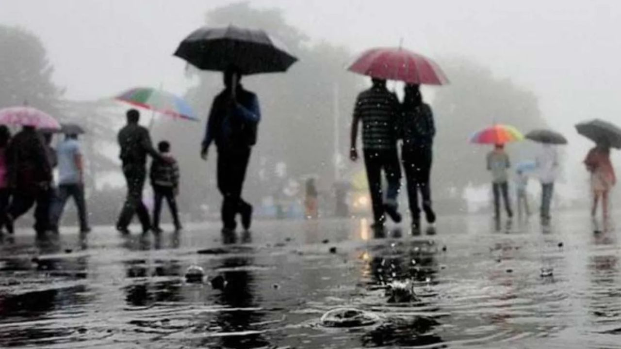 Heavy Rain Alert 