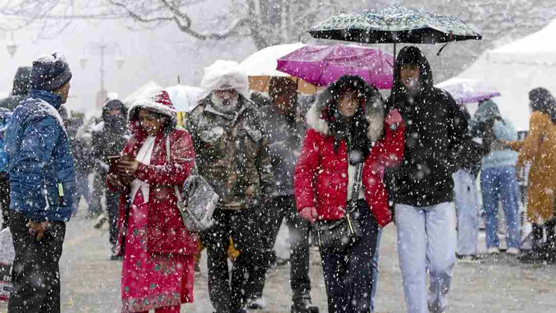 Shimla