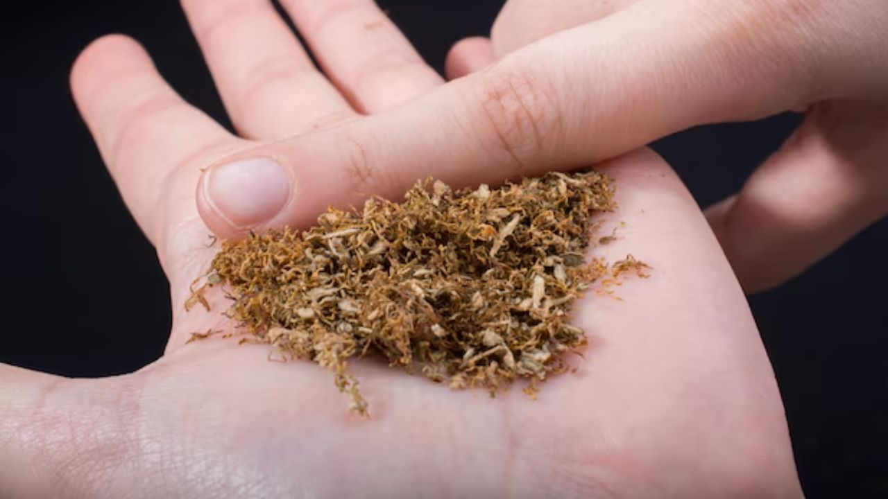 Tobacco causes copd