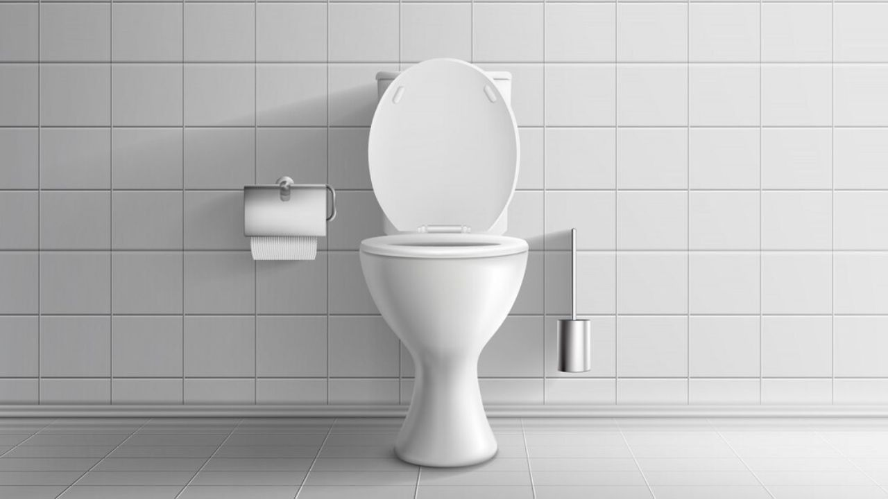 toilet
