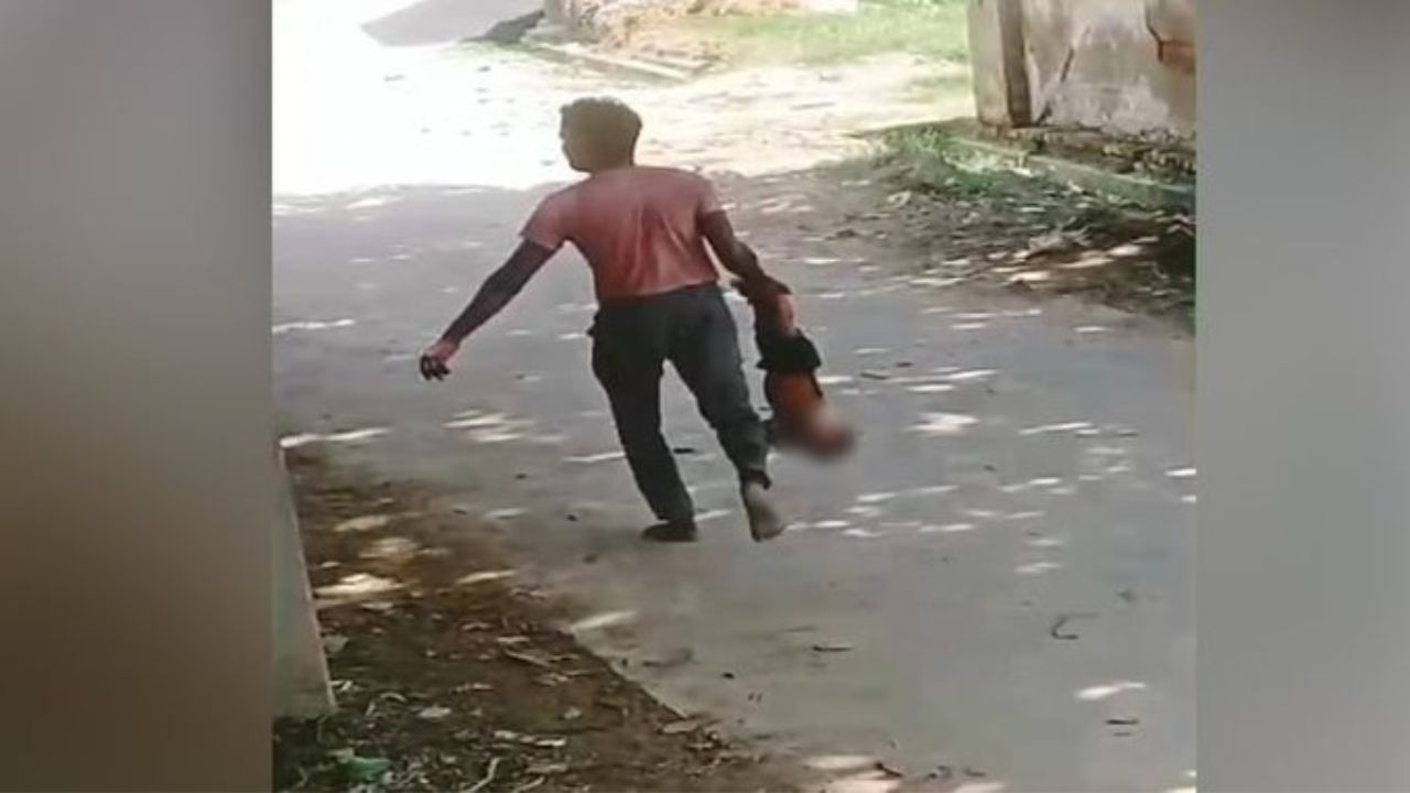 Viral Video Picture