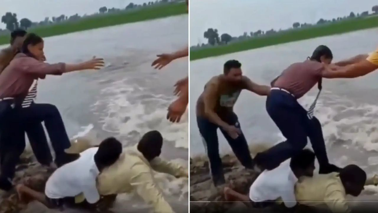 Viral Video pic 