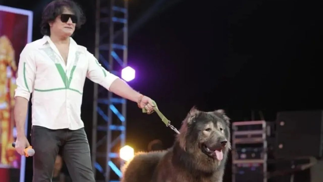 Bengaluru dog lover