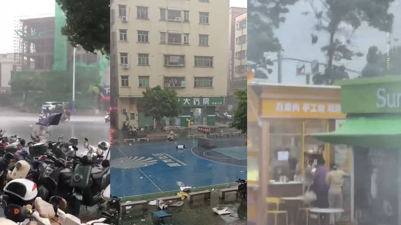 China News