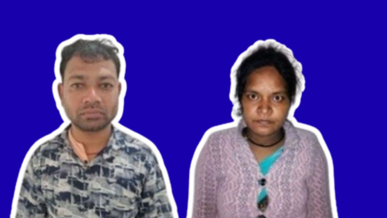 MP News