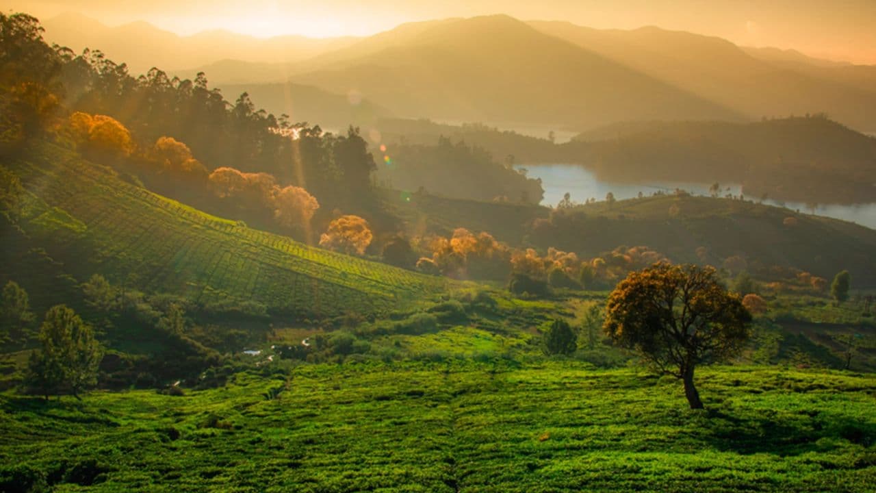Ooty Hill Station Tamilnadu