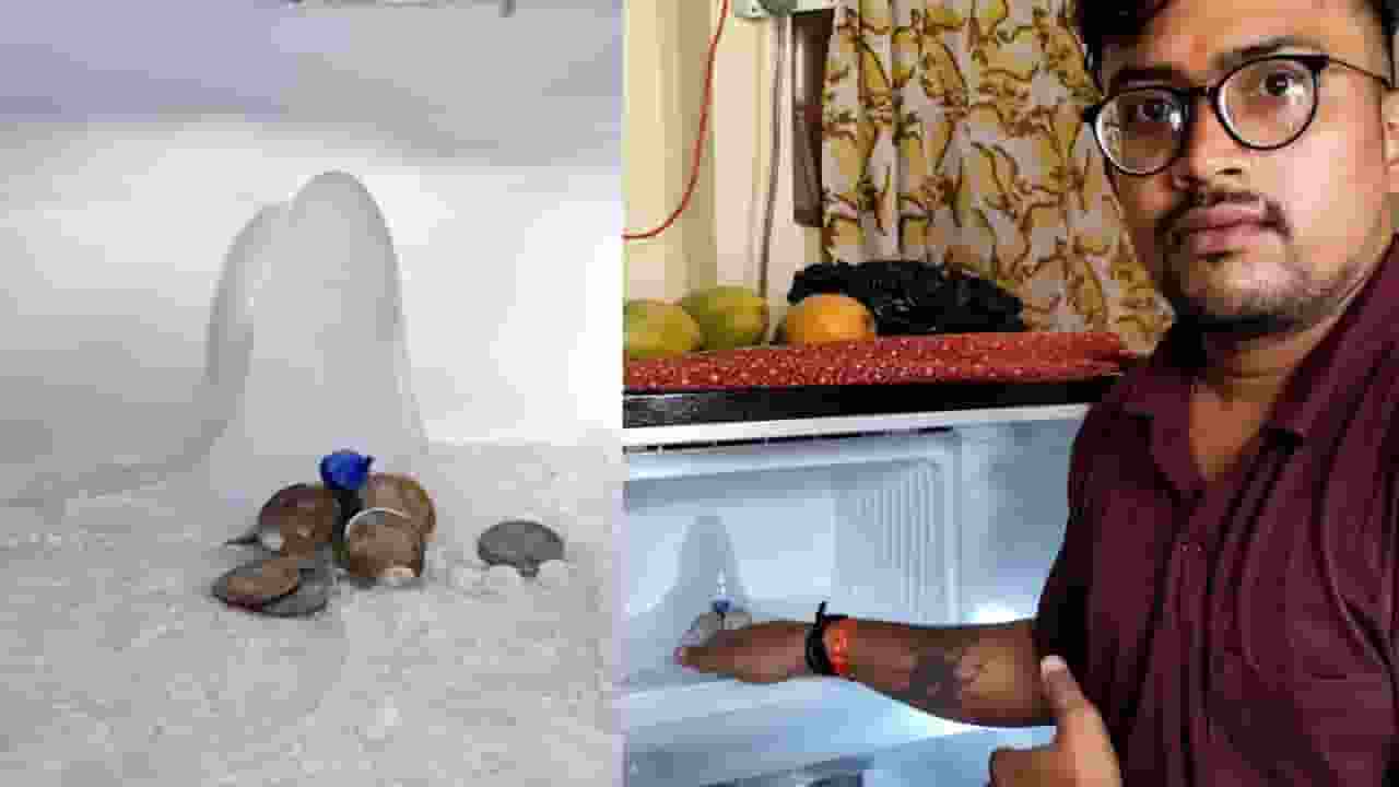  refrigerator and man