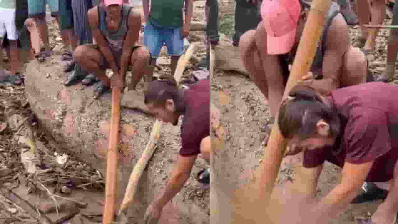 Nepal Flood, Nepal Flood Viral Video,