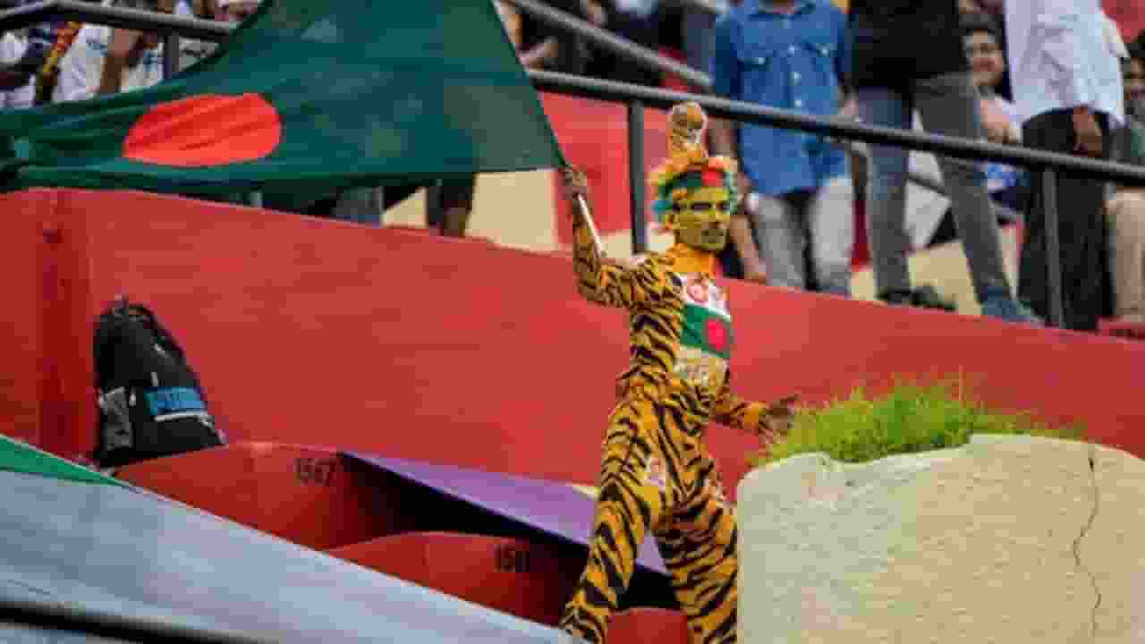 bangladesh cricket fan