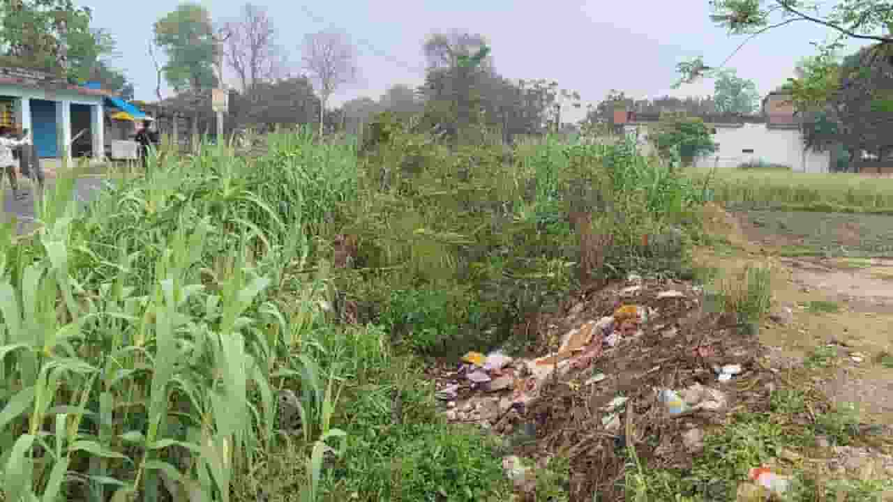 canal system